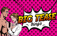 Big Tease Bingo